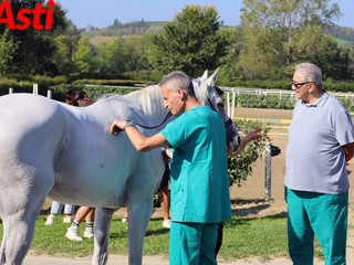 Ricca fotogallery di MerfePhoto