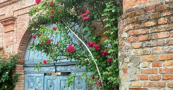 Viviamo in un posto bellissimo pieno di piccoli, grandi valori