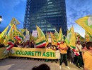 Danni da fauna selvatica: risarcimenti insufficienti per le aziende agricole Danni da fauna selvatica: risarcimenti insufficienti per le aziende agricole
