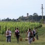 Un'immagine (ph, Merfephoto - Efrem Zanchettin) di un precedente 'pic-nic' organizzato presso il Bosco degli Astigiani