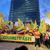 Danni da fauna selvatica: risarcimenti insufficienti per le aziende agricole