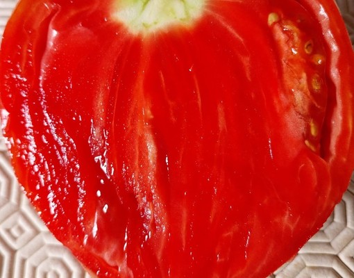 Pomodoro Cuore di Rocca