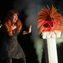 Il Teatro Alfieri gremito di giovani lettori incorona “Ottobre, Ottobre” di Katya Balen Il Teatro Alfieri gremito di giovani lettori incorona “Ottobre, Ottobre” di Katya Balen