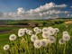 Primavera nel Nord Astigiano ritratta da Enzo Isaia