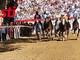 Palio di Asti 2025: i primi finalisti sono Torretta, San Damiano e San Martino San Rocco [VIDEO]