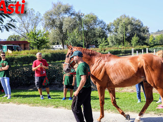 Ricca fotogallery di MerfePhoto