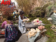Alcune splendide ambientazioni di Anna Rosa Nicola
