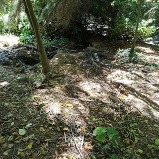 Parco Rio Crosio, allarme dei cittadini: “Fossi ostruiti e rischio frane”