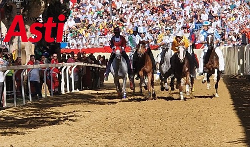 Merphefoto Merphefoto