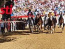 Palio di Asti 2025: i primi finalisti sono Torretta, San Damiano e San Martino San Rocco [VIDEO]
