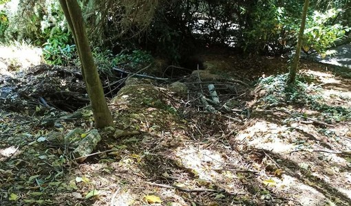 Parco Rio Crosio, allarme dei cittadini: “Fossi ostruiti e rischio frane”