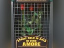 Nella settimana di San Valentino, a Scurzolengo, spunta una cassetta d'emergenza con rose, da aprire solo "in caso di vero amore" [VIDEO]