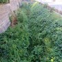 La situazione dello scolmatore del Rio Misureto