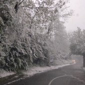 Prima 'imbiancata' a Roccaverano (immagine dal canale Telegram Dati Meteo Asti)