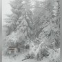 Due immagini (la seconda a fine articolo) che documentano la nevicata a Roccaverano. L'altra immagine a fine articolo fa invece riferimento a Cerreto