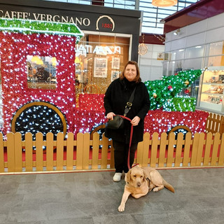 "A voi la zampa": la città vista con gli occhi di Robin Hood, il cane guida di Renata Sorba