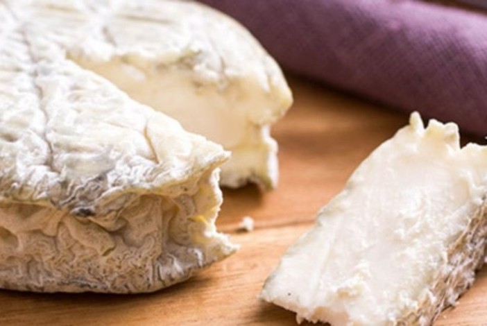 Roccaverano dop, primo tra i formaggi del tour caseario nell'Astigiano di Philippe