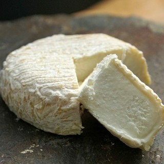 Allerta alimentare per Escherichia coli: ritirato un lotto di formaggio Roccaverano