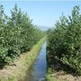 Gestione dell'acqua, Confagricoltura Piemonte rilancia le aree di infiltrazione