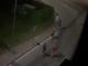 Il gruppo di vandali in fuga