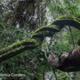 A Dogliani la mostra fotografica  “Il Respiro della Terra” di Federica Cordero