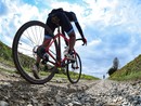 Viviamo in un posto bellissimo pieno di strade bianche
