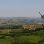 San Martino Alfieri