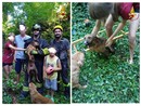 Collage di immagini successive il salvataggio del cane caduto nel pozzo