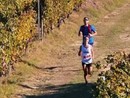 Trail della Barbera: Mongardino si prepara alla grande festa del trail running