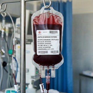 Caso "Con Te", crollano in appello le accuse contro Parello e Pace. La difesa contrattacca: "Chiederemo i danni"