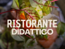 Ad Agliano Terme, un viaggio nel gusto tra Italia e Norvegia Ad Agliano Terme, un viaggio nel gusto tra Italia e Norvegia