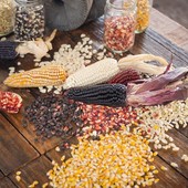 Viviamo in un posto bellissimo di saperi, sapori e semi