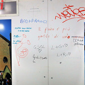 MerfePhoto MerfePhoto