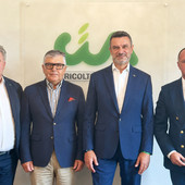 Nell'immagine, da sinistra a destra: Scardino, Sichetti, Fini e Carenini