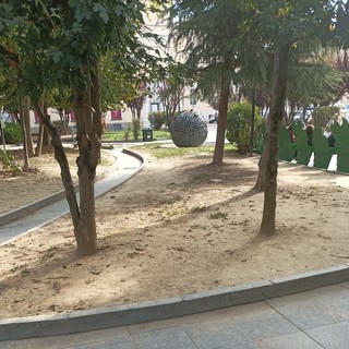 Foto che documentano la siccità nel giardini Alganon prospicienti piazza Roma