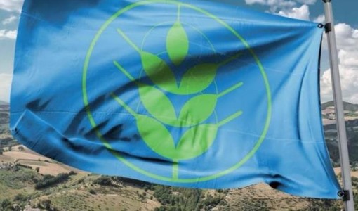 La terra che cura il proprio futuro: Canelli si conferma regina delle Spighe Verdi 2026