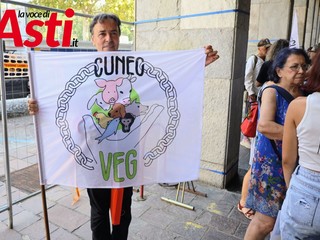 Galleria fotografica a cura di Merfephoto - Efrem Zanchettin