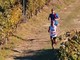 Trail della Barbera: Mongardino si prepara alla grande festa del trail running
