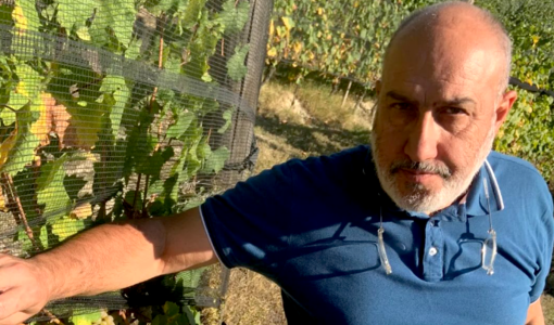 Sergio Germano - presidente del Consorzio di Tutela Barolo Barbaresco Alba Langhe e Dogliani