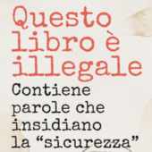&quot;Questo libro è illegale&quot;: un glossario contro lo smantellamento della democrazia