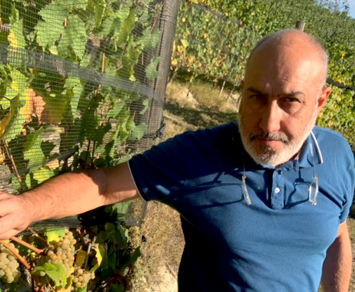 Sergio Germano - presidente del Consorzio di Tutela Barolo Barbaresco Alba Langhe e Dogliani Sergio Germano - presidente del Consorzio di Tutela Barolo Barbaresco Alba Langhe e Dogliani