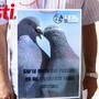 Il sit in di diverse associazioni animalista e ambientaliste contro il piano