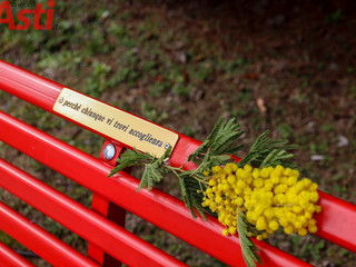 Galleria fotografica a cura di MerfePhoto