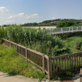 Passerella sul Borbore: il Pd chiede controlli e manutenzione. Degrado e sicurezza al centro dell'interpellanza