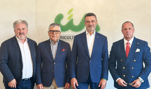 Nell'immagine, da sinistra a destra: Scardino, Sichetti, Fini e Carenini