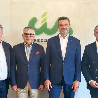 Nell'immagine, da sinistra a destra: Scardino, Sichetti, Fini e Carenini