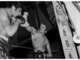 Boxe: Buttigliera ha celebrato i 50 anni dal titolo mondiale pesi mosca vinto da Antonio “Tony” Verdiani