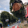 Pioppo abbattuto in corso XXV Aprile, l’appello di Europa Verde: "Si ripianti un albero nella rotonda" Pioppo abbattuto in corso XXV Aprile, l’appello di Europa Verde: "Si ripianti un albero nella rotonda"