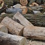 Caro energia, dalle foreste del Piemonte un contributo per ridurre la dipendenza dai combustibili fossili Caro energia, dalle foreste del Piemonte un contributo per ridurre la dipendenza dai combustibili fossili