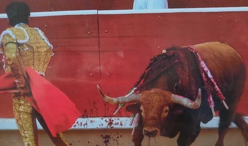 San Pio V scomunicava le corride: ad Asti una mostra per ricordarlo